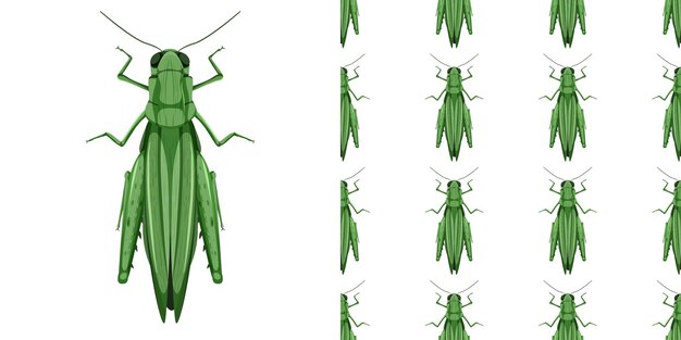 Grasshopper insects isolated and seamless pattern