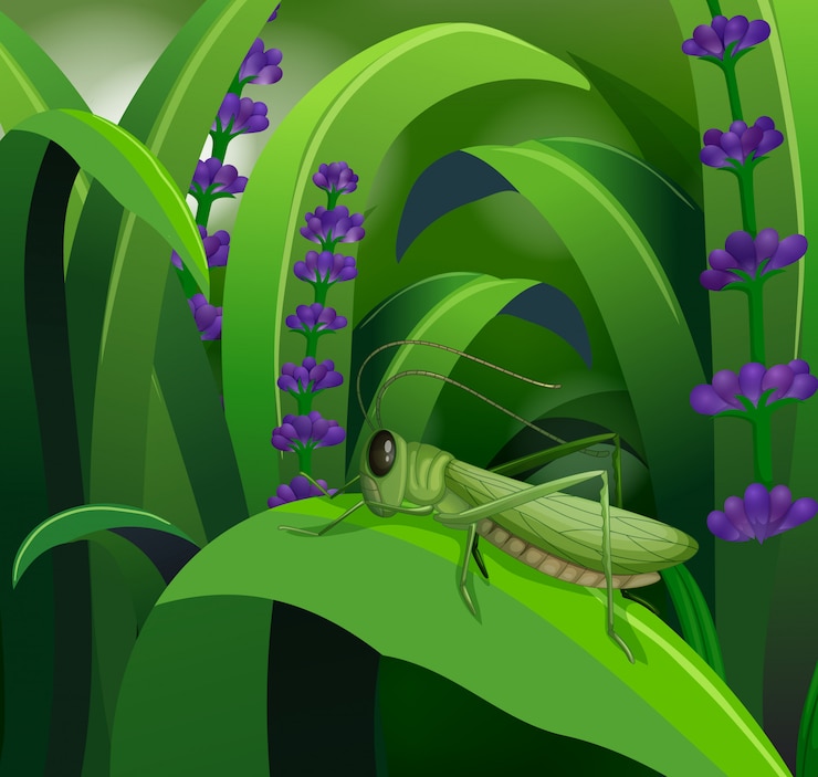 Free Vector grasshopper on leaf