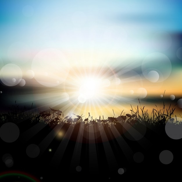 Free Vector grassy landscape at sunset