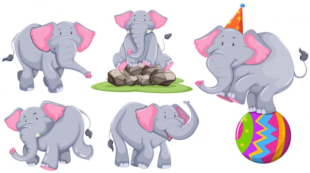 Серый слон в различных действиях иллюстрации