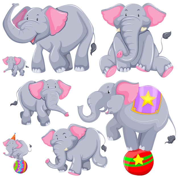 Free vector gray elephant in different actions