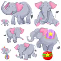 Free vector gray elephant in different actions