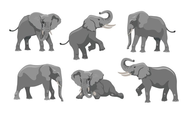 さまざまな位置の灰色の象の漫画イラストセット。大きな耳とトランクが白い背景の上を歩いたり、横になったり、ジャンプしたりする大きなアフリカの哺乳類のキャラクター。動物、動物園、野生生物の概念