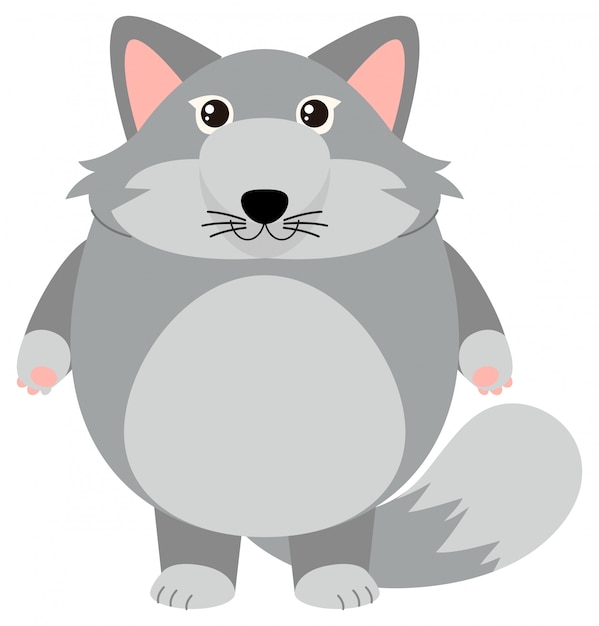 Free vector gray fox on white background