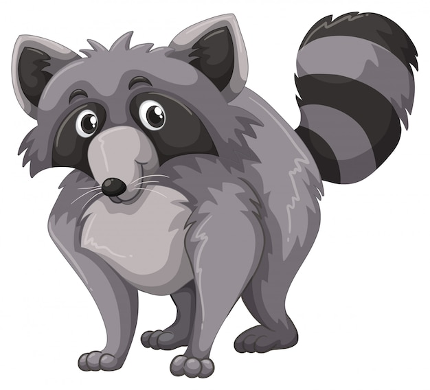 Free vector gray raccoon with happy face