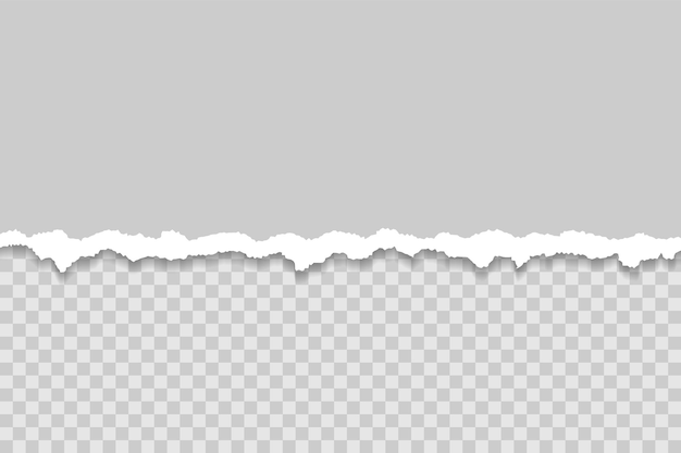 Gray torn paper edge border texture template with shadows – Vector Template