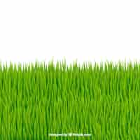 Free vector great background of green grass