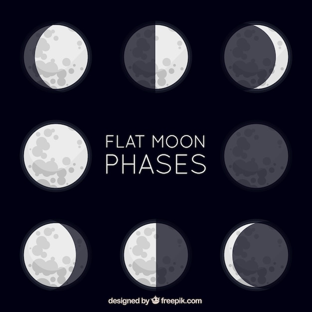 Free vector great flat moon phases