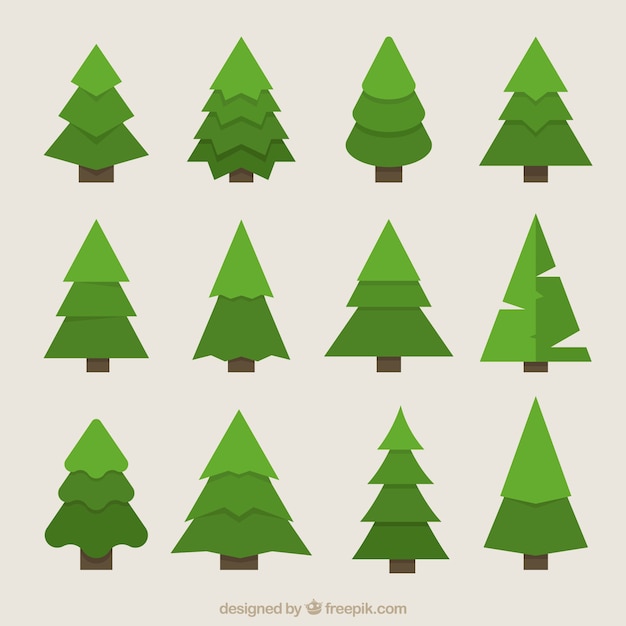 Great geometric fir trees in green tones