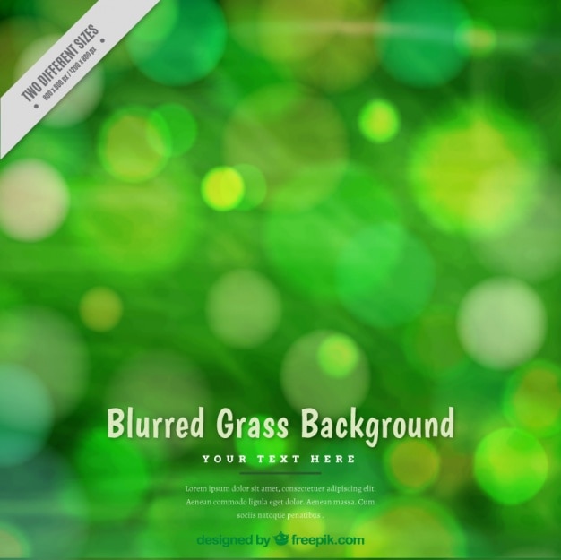 Great grass background with blurred effect