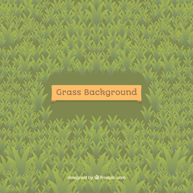 Great grass background