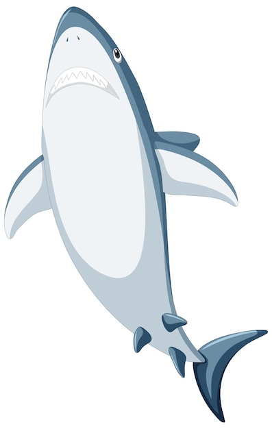 Great white shark cartoon
