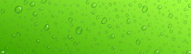 Free vector green background fresh rain water drop vector