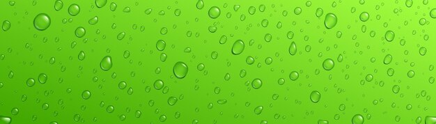 緑の背景の新鮮な雨水ドロップ ベクトル