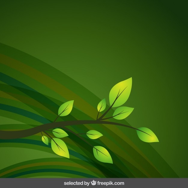 Free vector green background with branch