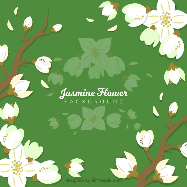 Free vector green background with jasmine