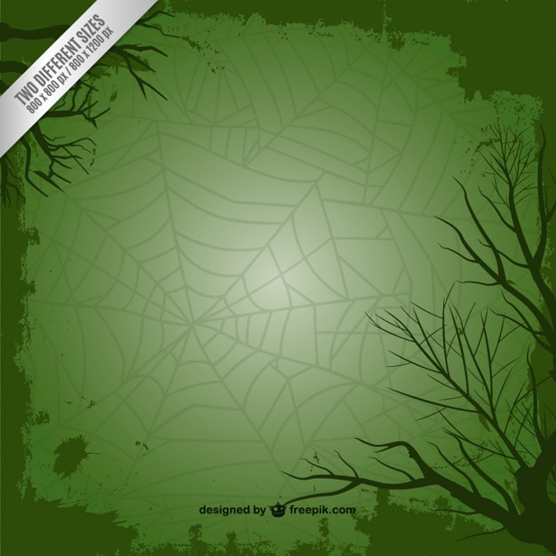 Зеленый фон с паутиной для хэллоуина