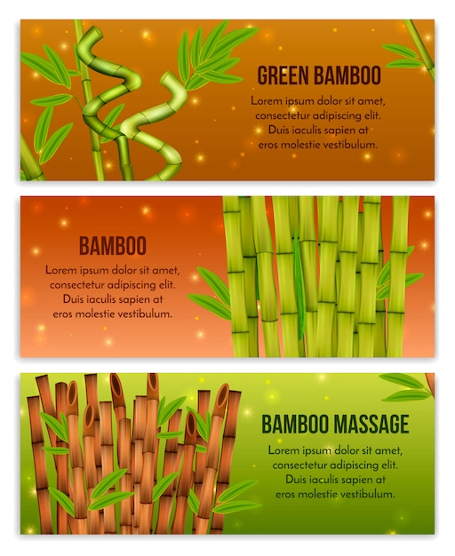 Free vector green bamboo interior decorative elements