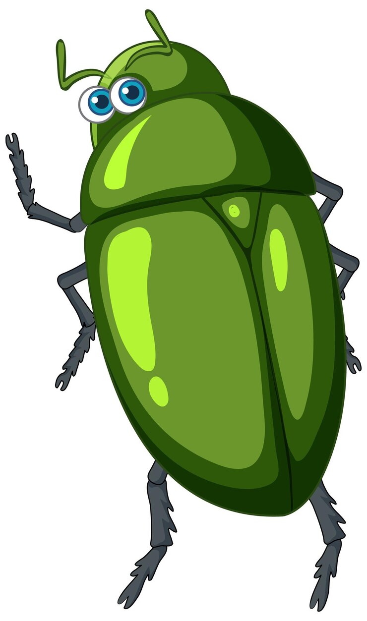 Free Vector a green beetle cartoon character isolated