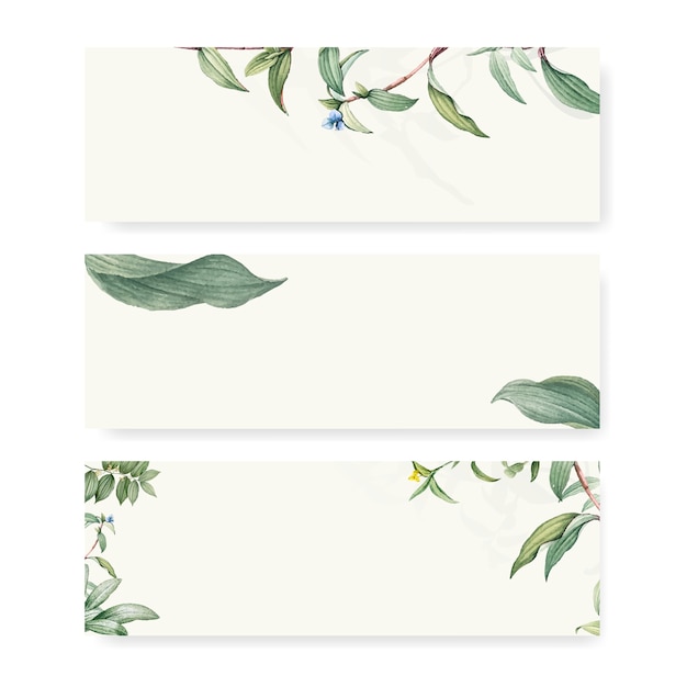 Green botanical leaves background design