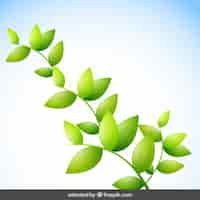 Free vector green branch with leaves