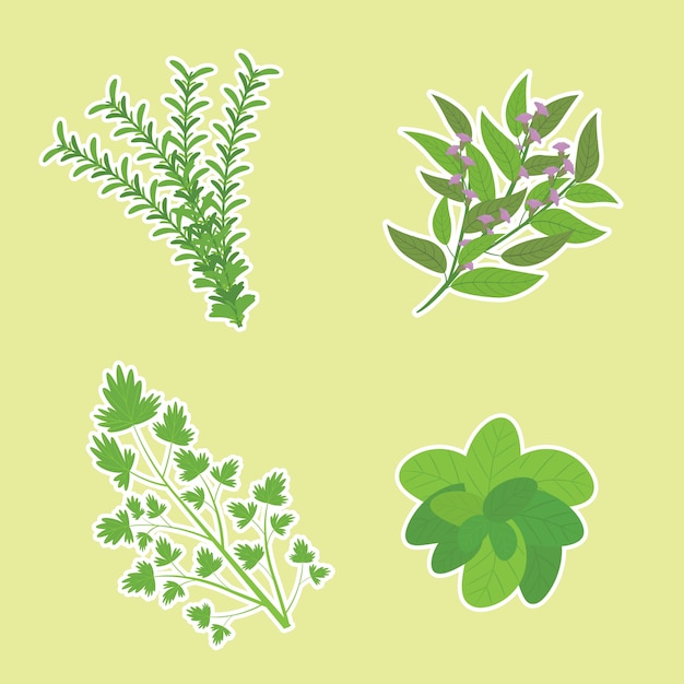 Free vector green branches collection