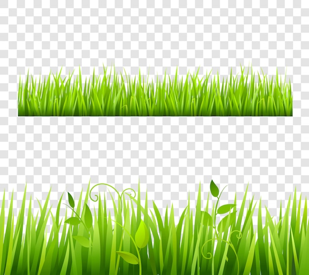 Green and bright grass border tileable transparent with plants