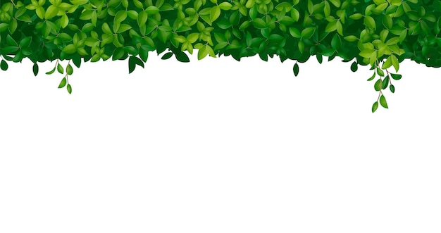 Free vector green bush shrub tree crown realistic white background vector illustration