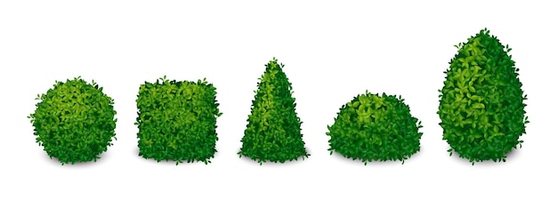 Free vector green bushes in shape of geometrical figures realistic set isolated vector illustration