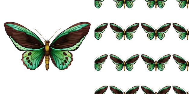 Free vector green butterfly and seamless