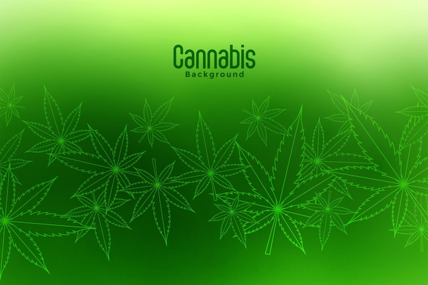 green cannabis marijuana leaves background