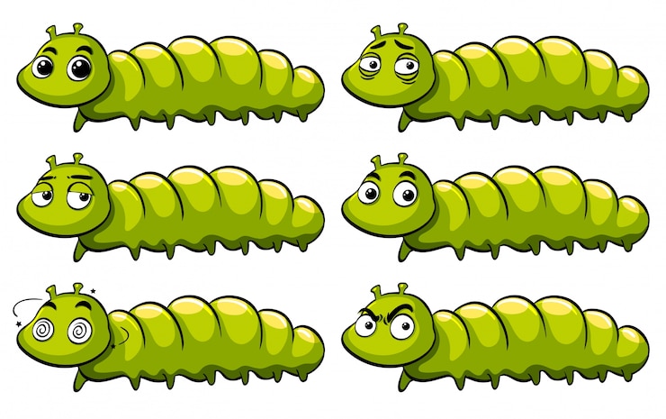 Free Vector green caterpillar with different emotions
