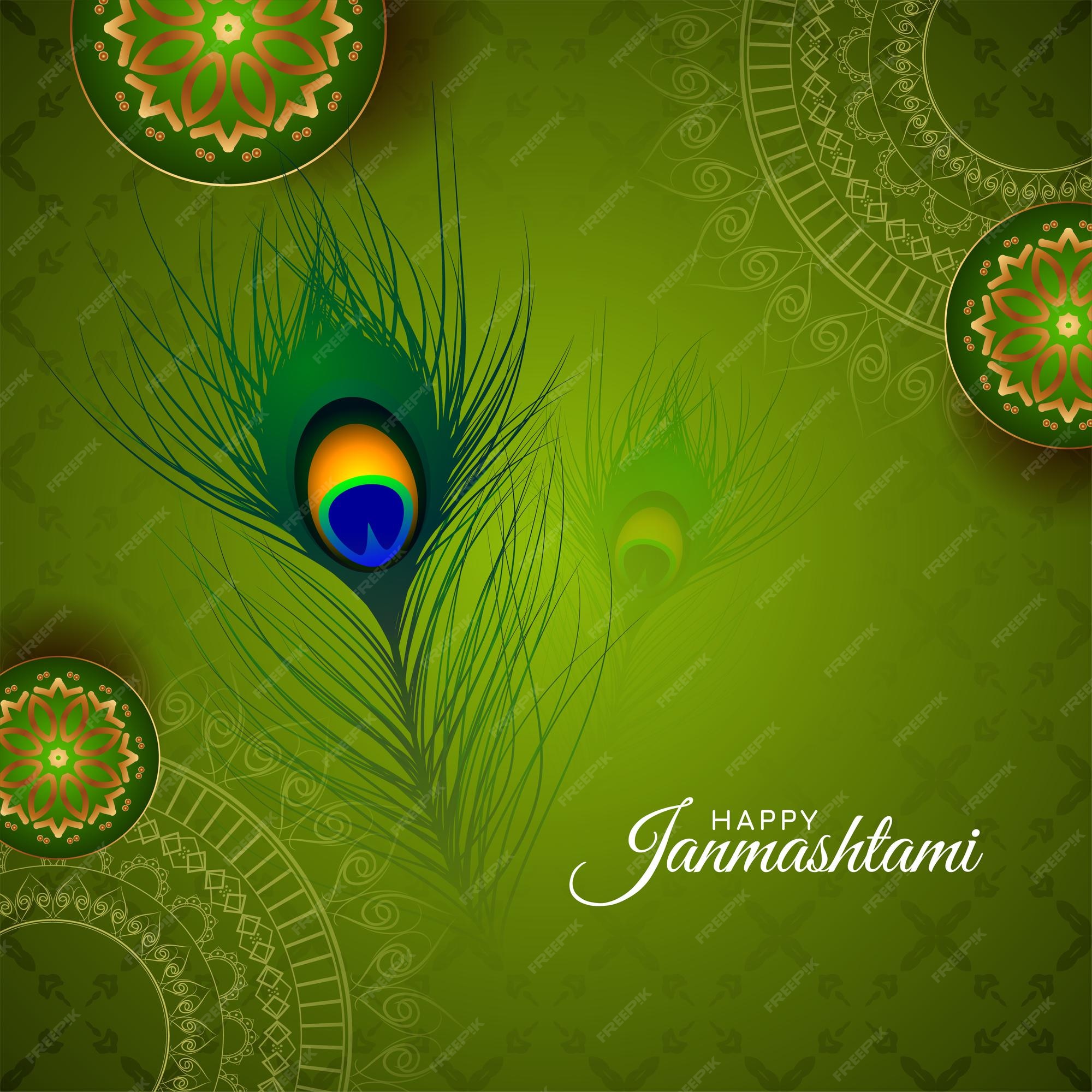 Free Vector | Green color happy janmashtami festival peacock feather  background vector