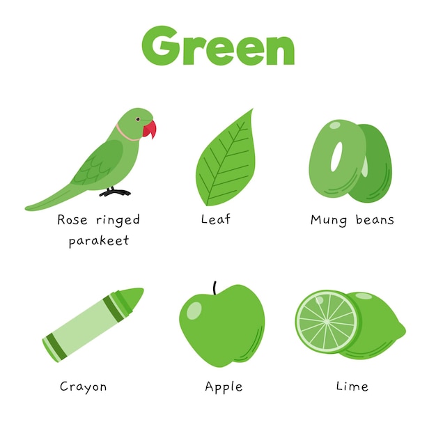 Зеленый цвет и набор слов на английском языке