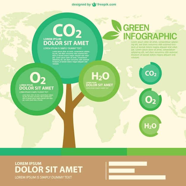 Green eco infographic with a round tree