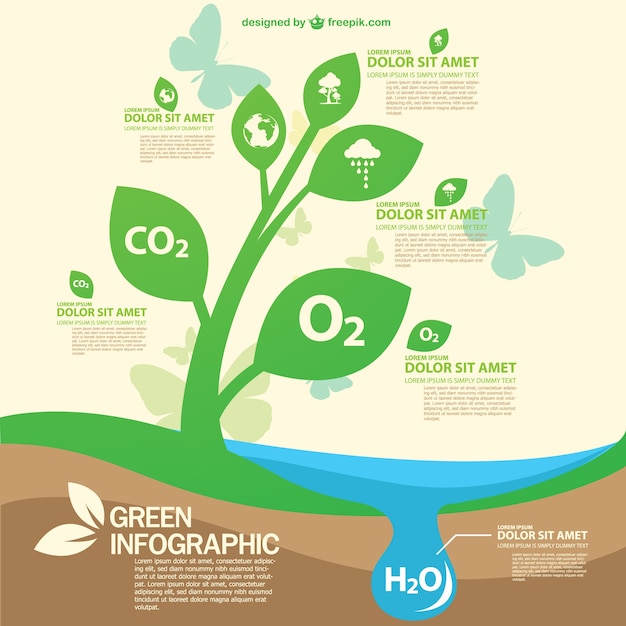 зеленый шаблон эко бесплатно infography