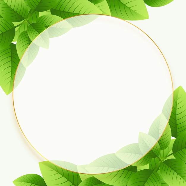 Free vector green eco leaves background with circular frame