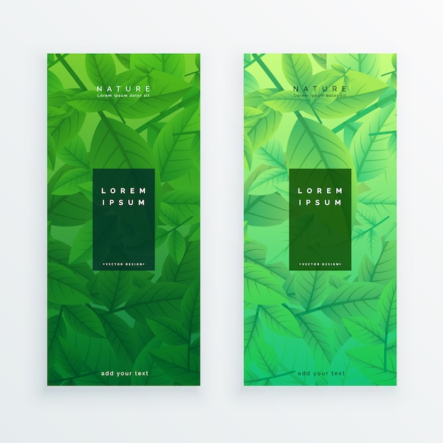 Free vector green eco leaves banner set