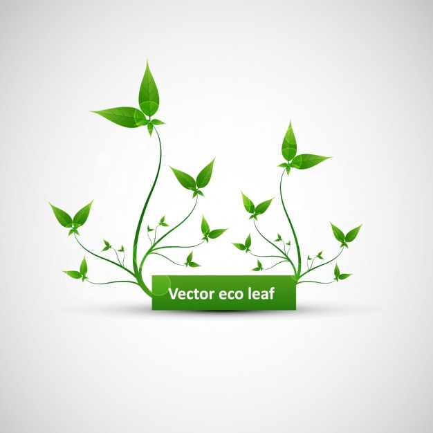 Free vector green eco leaves