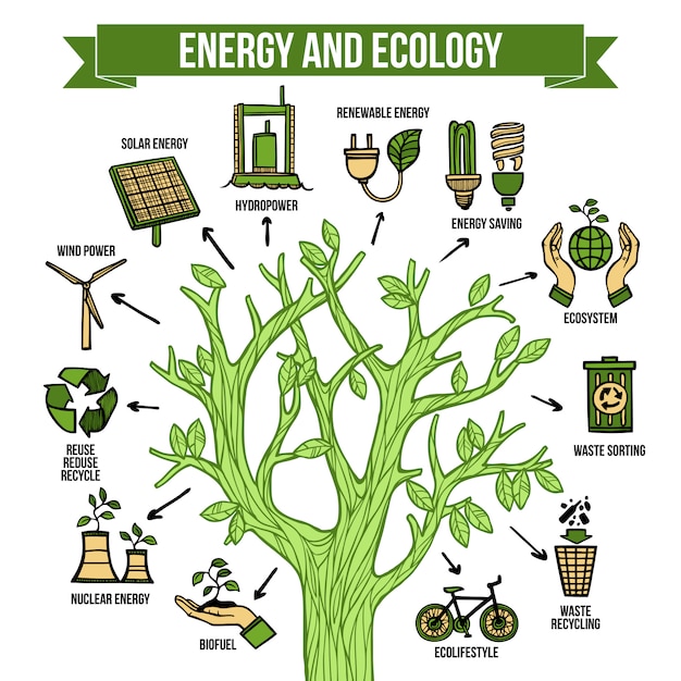 Manifesto di layout infografica ecologico di energia verde