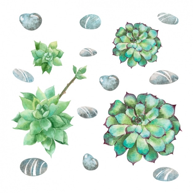 Бесплатное векторное изображение Коллекция зеленые цветы