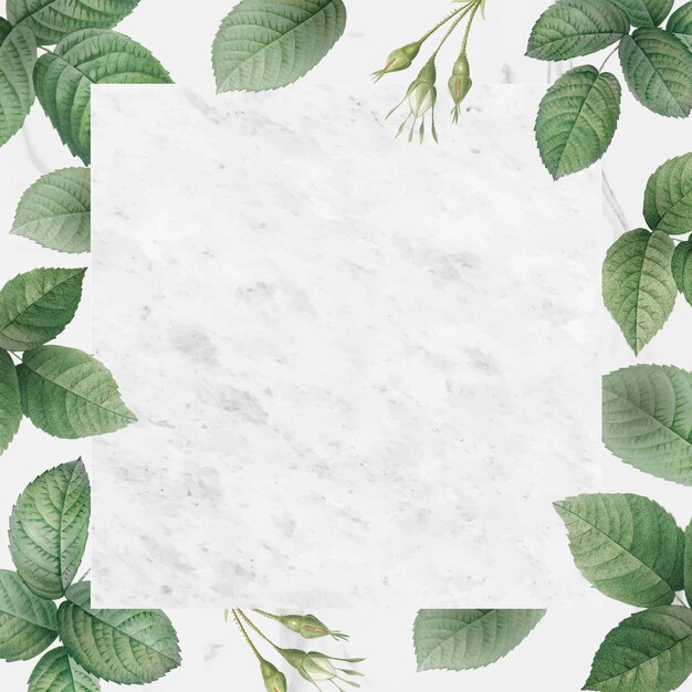 Green foliage background frame