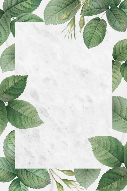 Free vector green foliage pattern frame