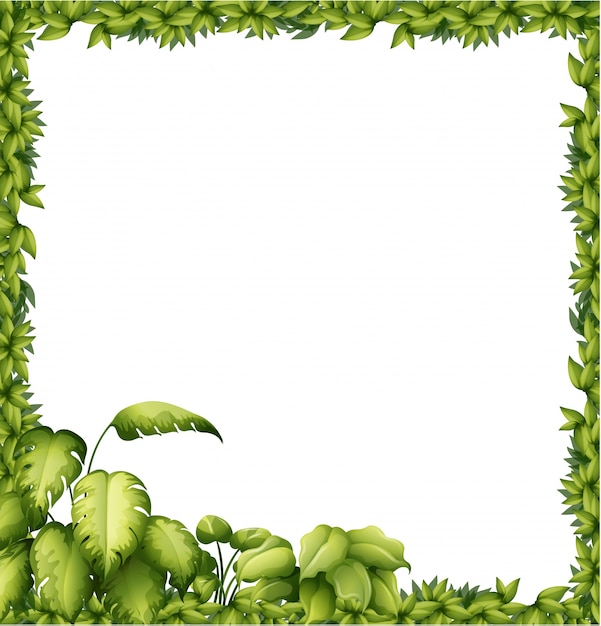 A green frame