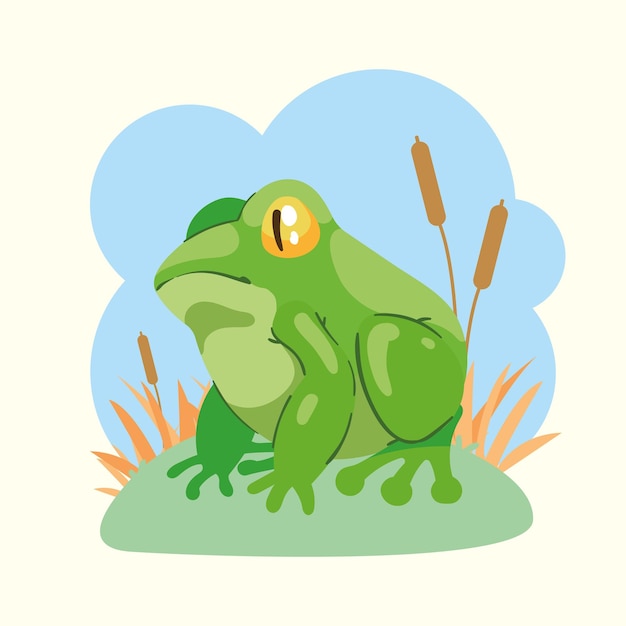 Зеленая лягушка-амфибия