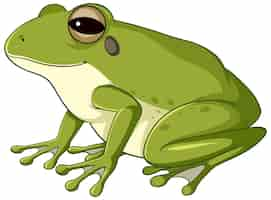 Free vector a green frog on white background