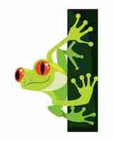 Free vector green frog with red eyes animal