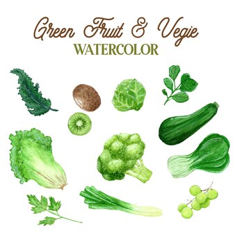 水彩野菜 無料のベクター 水彩野菜 無料のベクター