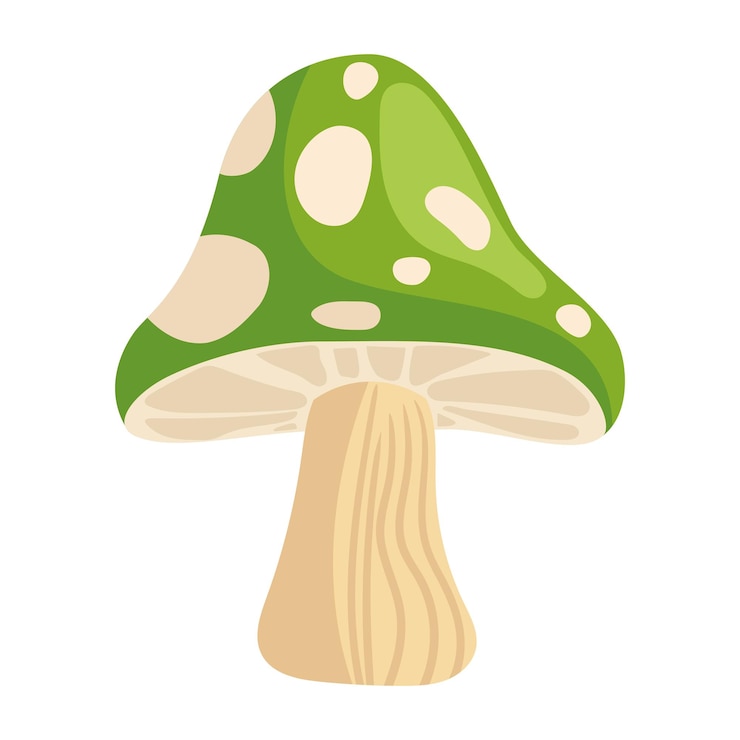 मुफ़्त वेक्टर green fungus plant garden icon