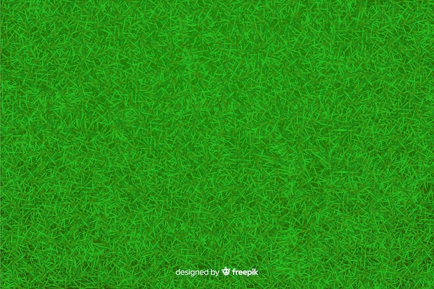 Green grass background realisitic design